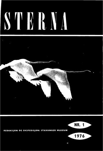 Sterna, bind 15 nr 1 (PDF-fil) - Museum Stavanger