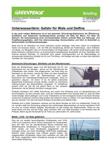 Unterwasserlärm: Gefahr für Wale und Delfine