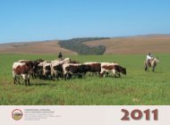 ARGE Pzg. Kalender E 2011