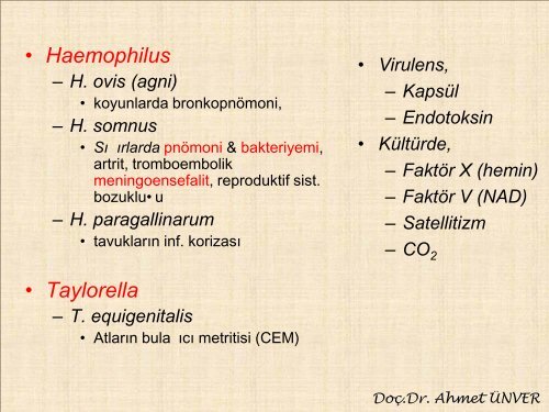 16,17, Bartonella, Pasteurella inf. - Kafkas Ãniversitesi