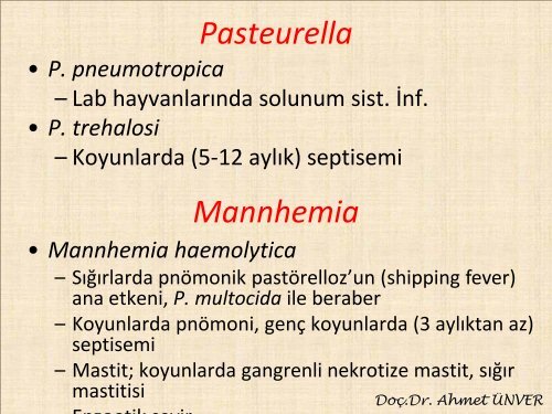 16,17, Bartonella, Pasteurella inf. - Kafkas Ãniversitesi