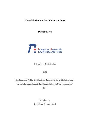 Doktorarbeit Christoph Oppel.pdf - KLUEDO - Universität ...