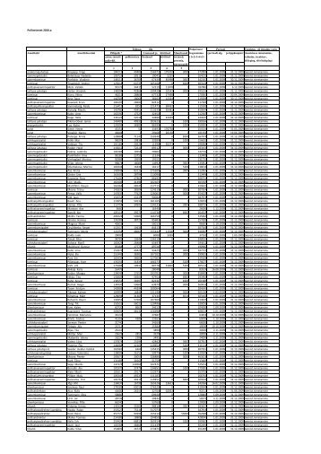 2010 PA palkade avalikustamine.xls (1) - Politsei