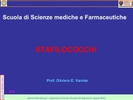 STAFILOCOCCHI - Sezione di Microbiologia
