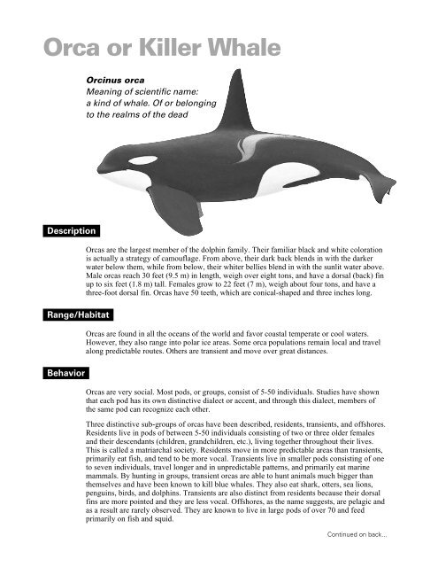 Orca or Killer Whale - Cordell Bank National Marine Sanctuary