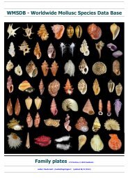 WMSDB - Worldwide Mollusc Species Data Base - Family plates