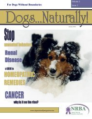For Dogs Without Boundaries - Dogs Naturally Magazine
