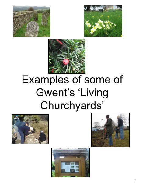 Examples of Gwent's 'Living Churchyards' - Gwent Wildlife Trust