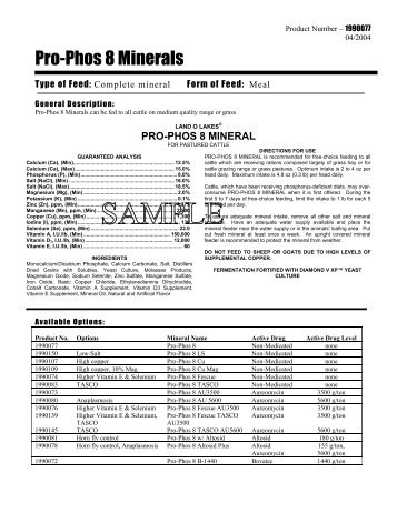 Pro-Phos 8 Minerals - Beeflinks