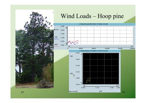 WIND - SAG Baumstatik eV