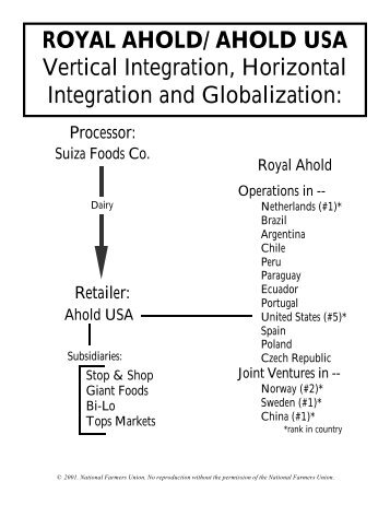 ROYAL AHOLD/ AHOLD USA Vertical Integration, Horizontal ...