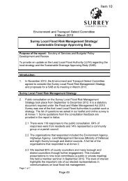 Item 10 - Surrey County Council