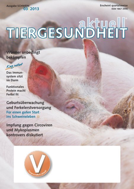 Newsletter als PDF-Dokument runterladen