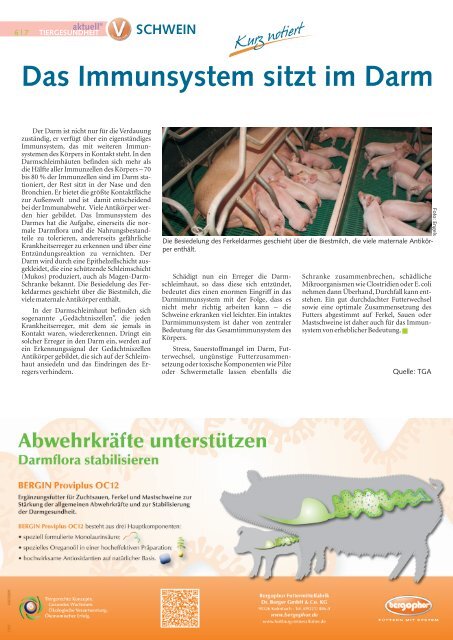 Newsletter als PDF-Dokument runterladen