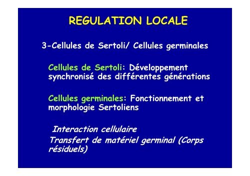 spermatogenese - Poly-Prepas