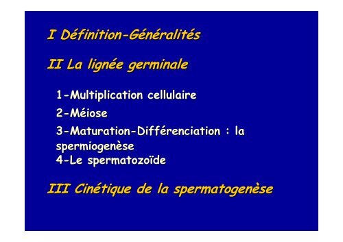 spermatogenese - Poly-Prepas