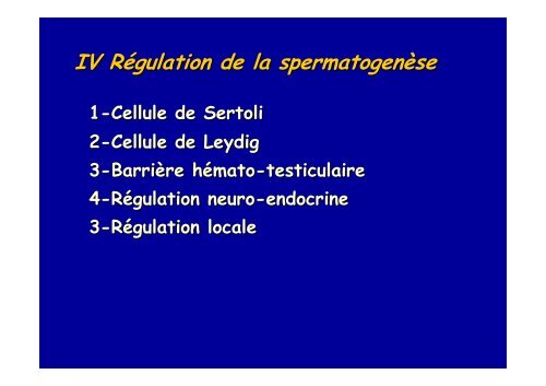 spermatogenese - Poly-Prepas