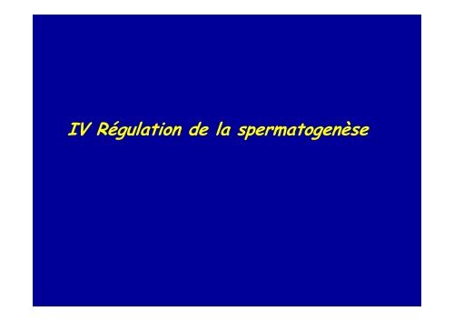 spermatogenese - Poly-Prepas