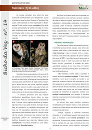 Bicho da Vez - nº. 14 - Museu de Zoologia João Moojen - UFV