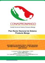 Plan Rector del Sistema Producto Mango - Mango Mexicano