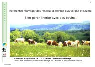 Introduction au rfrentiel fourrager - Chambre d'agriculture du Cantal