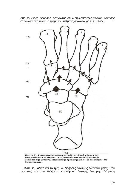 Η βιοµηχανική του άκρου ποδός. Μελέτη της φάσης στήριξης ενός ...