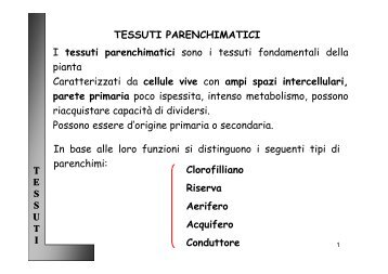 TESSUTI PARENCHIMATICI I tessuti parenchimatici ... - Sdasr.unict.it