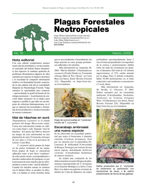 Plagas Forestales Neotropicales - Catie