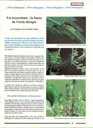 La faune de l'ortie dioïque / Insectes n° 76 - Inra