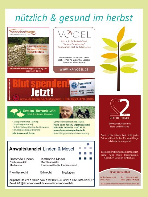 stadtteilmagazin - INsülz & klettenberg