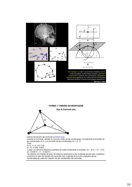 Geometric morphometrics: Internet resources http://life.bio.sunysb ...