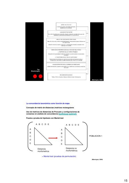 Geometric morphometrics: Internet resources http://life.bio.sunysb ...