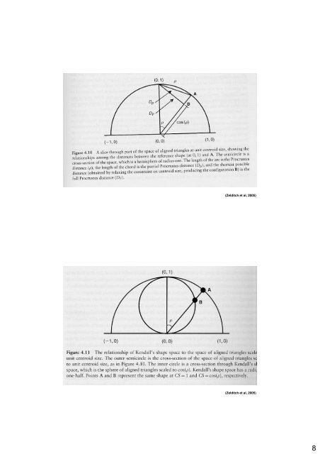 Geometric morphometrics: Internet resources http://life.bio.sunysb ...