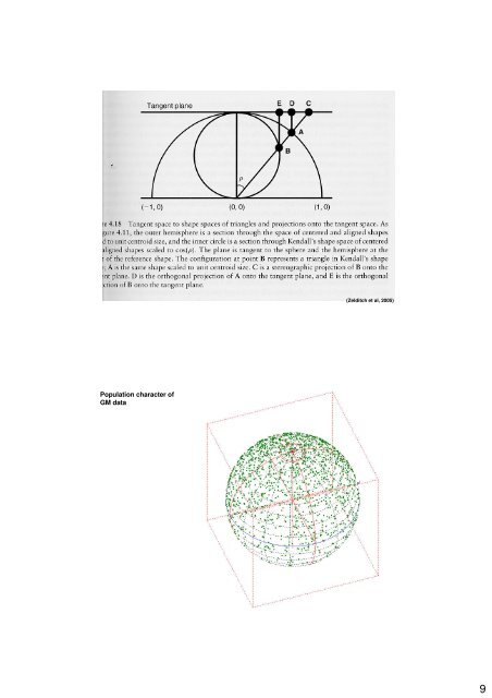 Geometric morphometrics: Internet resources http://life.bio.sunysb ...