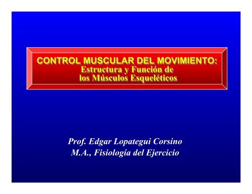 CONTROL MUSCULAR DEL MOVIMIENTO: Estructura ... - Saludmed