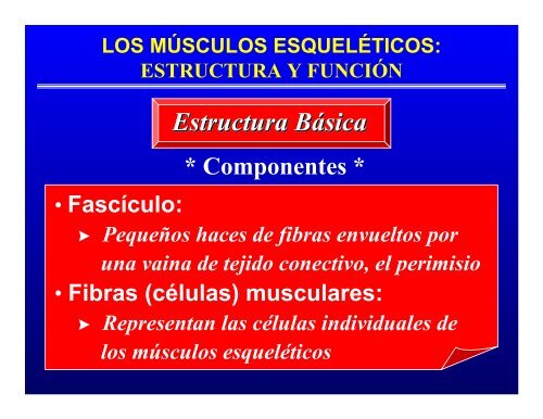 CONTROL MUSCULAR DEL MOVIMIENTO: Estructura ... - Saludmed