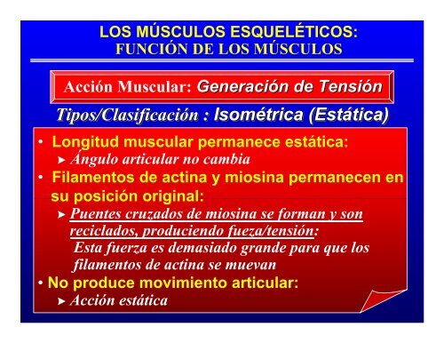 CONTROL MUSCULAR DEL MOVIMIENTO: Estructura ... - Saludmed