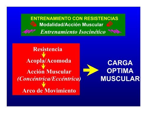 CONTROL MUSCULAR DEL MOVIMIENTO: Estructura ... - Saludmed