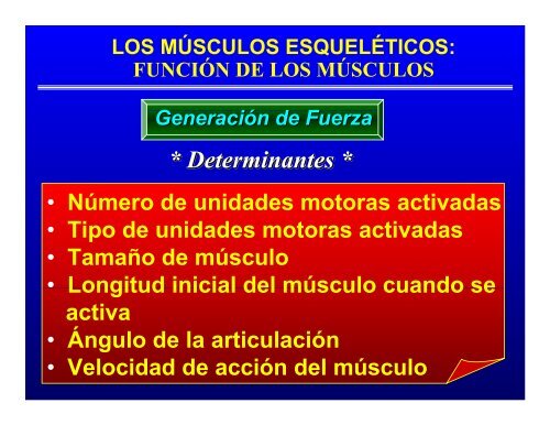 CONTROL MUSCULAR DEL MOVIMIENTO: Estructura ... - Saludmed