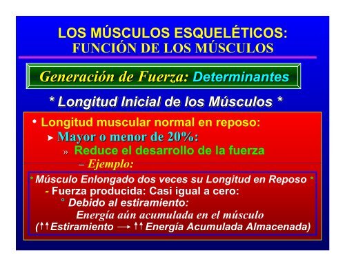 CONTROL MUSCULAR DEL MOVIMIENTO: Estructura ... - Saludmed