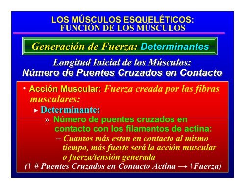 CONTROL MUSCULAR DEL MOVIMIENTO: Estructura ... - Saludmed