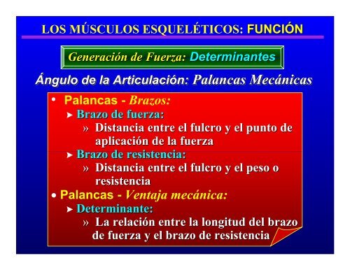 CONTROL MUSCULAR DEL MOVIMIENTO: Estructura ... - Saludmed