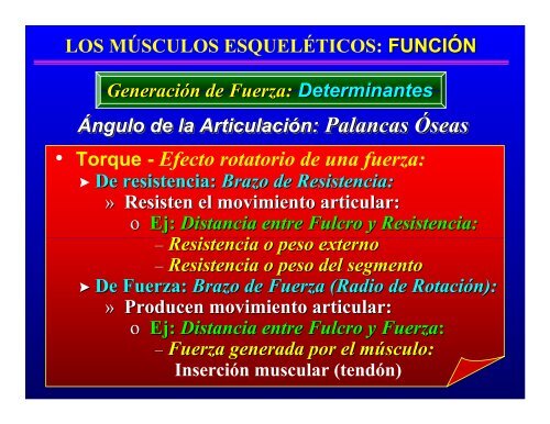 CONTROL MUSCULAR DEL MOVIMIENTO: Estructura ... - Saludmed