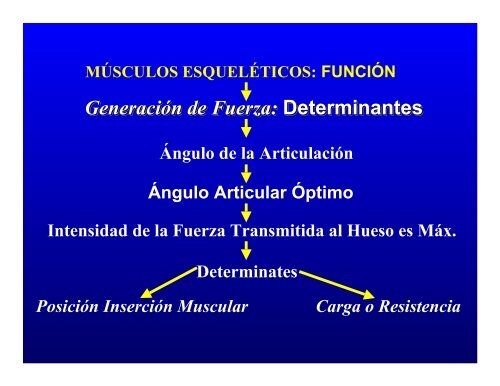 CONTROL MUSCULAR DEL MOVIMIENTO: Estructura ... - Saludmed