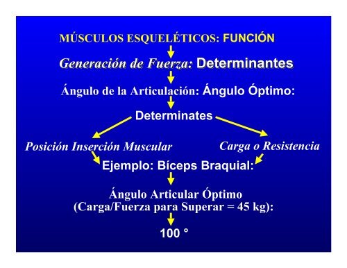 CONTROL MUSCULAR DEL MOVIMIENTO: Estructura ... - Saludmed