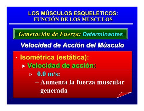 CONTROL MUSCULAR DEL MOVIMIENTO: Estructura ... - Saludmed