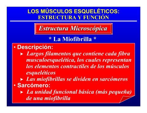 CONTROL MUSCULAR DEL MOVIMIENTO: Estructura ... - Saludmed