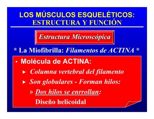 CONTROL MUSCULAR DEL MOVIMIENTO: Estructura ... - Saludmed