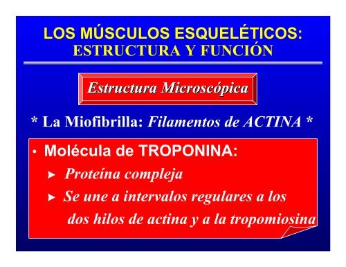 CONTROL MUSCULAR DEL MOVIMIENTO: Estructura ... - Saludmed