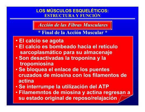 CONTROL MUSCULAR DEL MOVIMIENTO: Estructura ... - Saludmed